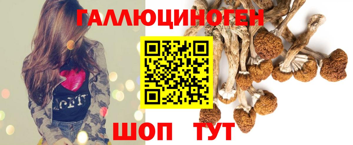Псилоцибиновые грибы Magic Shrooms  Вход с VPN  Дедовск 
